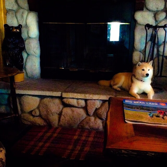 世俱杯：不同大陆球队的战术博弈，世俱杯啥意思