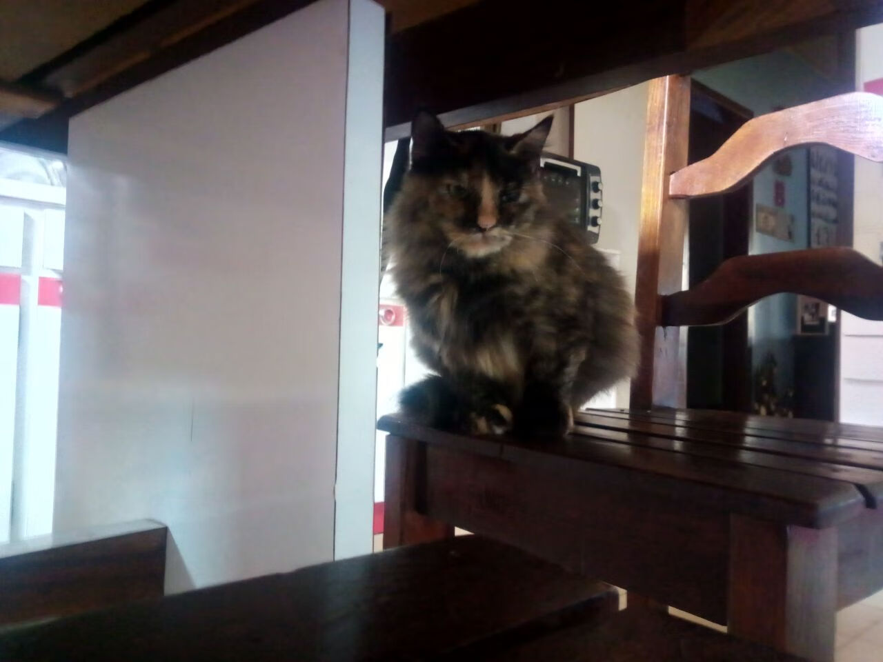 中国足球职业联赛推动建立反欺诈和假球举报通道，中国足协投诉渠道