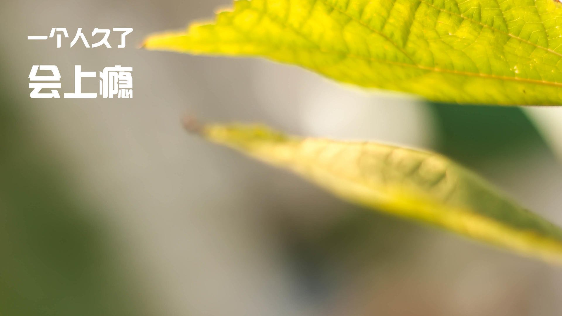 中国足球训练体系与国际接轨，中国足球培训系统