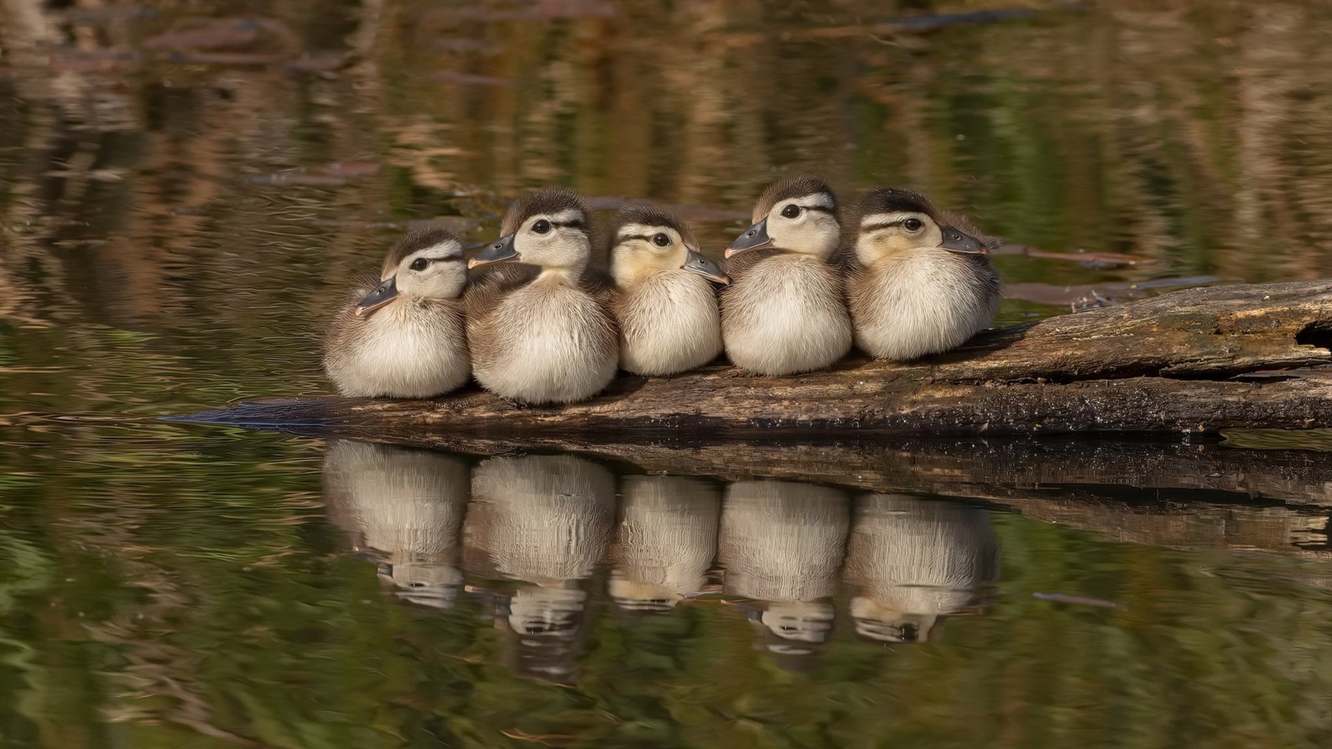-体育新闻专用语料库扩容上线支持智能分析，体育新闻语言